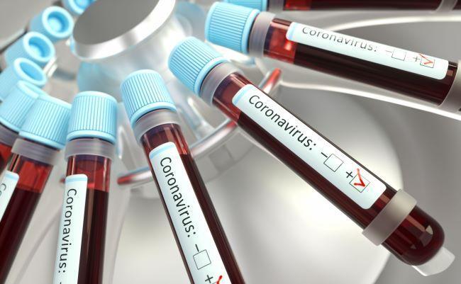 Turkeys coronavirus deaths up to 214, with 13,531 total cases: Minister