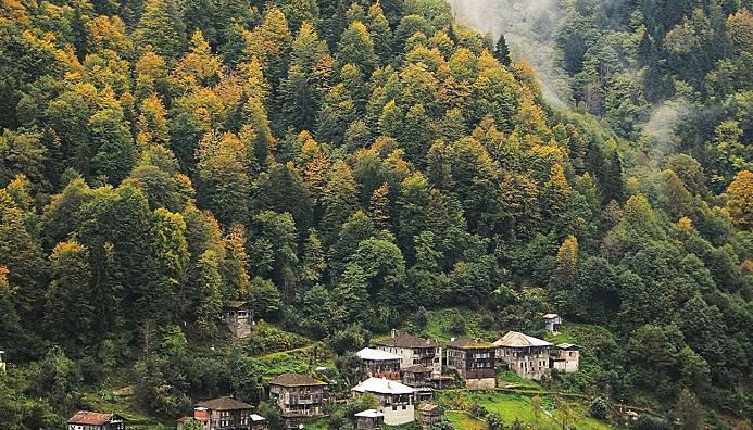 Turkey’s forest coverage increases