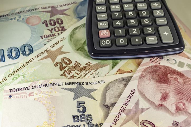 Turkish Treasury borrows $1.8B through auction