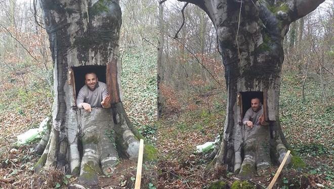 Investigation opened against man who carved tree for protection against COVID-19