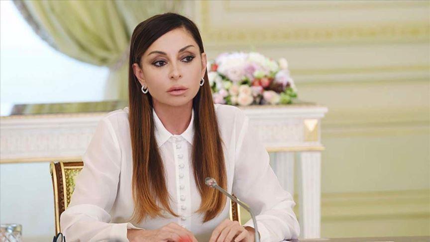 Azerbaijani leader thanks Turkey for show of solidarity