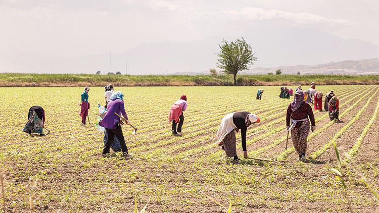 Agriculture workers, stockbreeders exempted from weekend curfew: Minister
