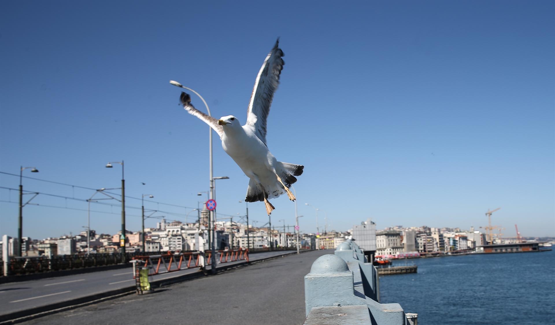 Turkey may ease restrictions early June