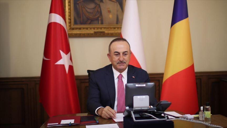 Top Turkish diplomat attends teleconference on COVID-19