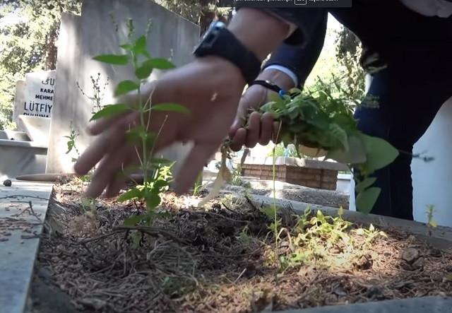 Cemetery visits go online in days of pandemic in Turkey’s Antalya