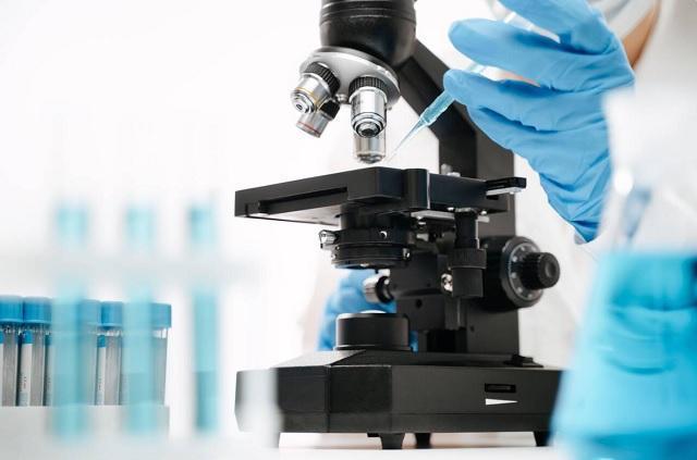 Results from sample virus tests expected in two weeks