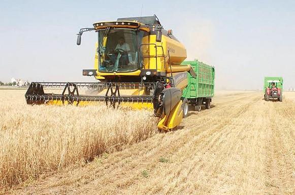 90 pct of the world eats Turkish flour: Industry official