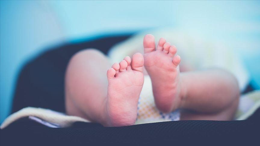Fertility rate in Turkey in decline, but still above European average: TÜİK
