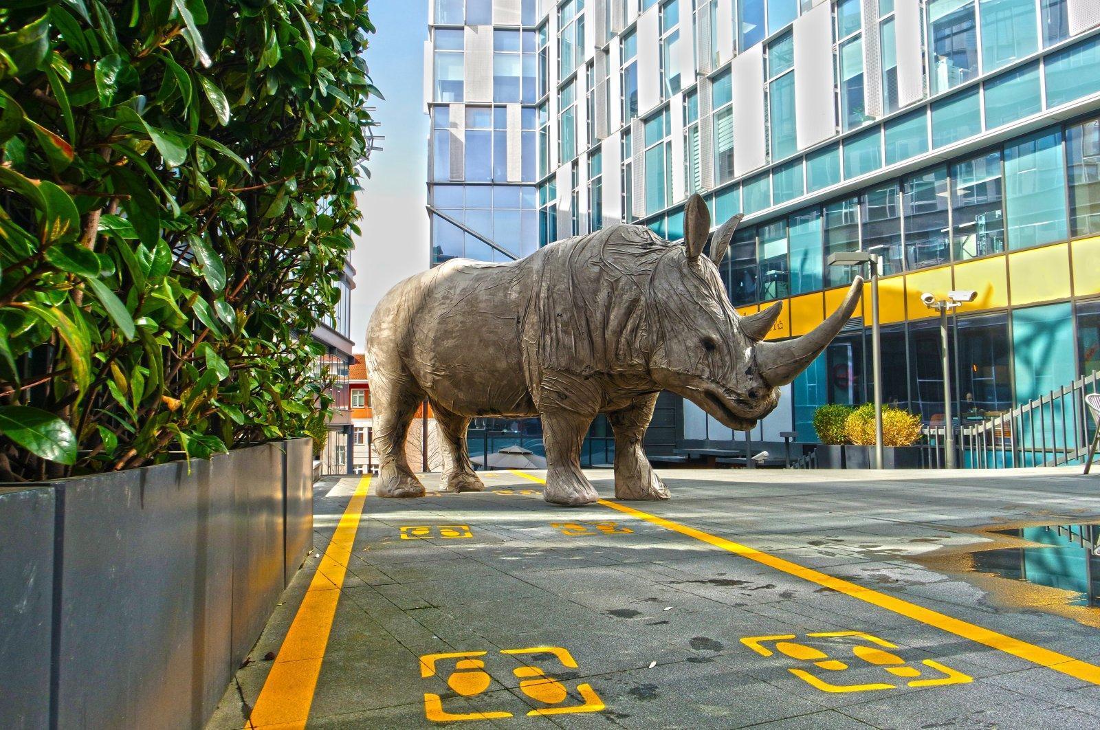 Istanbul artist uses rhinos to raise awareness