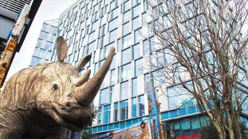 Artist uses rhinos to raise awareness