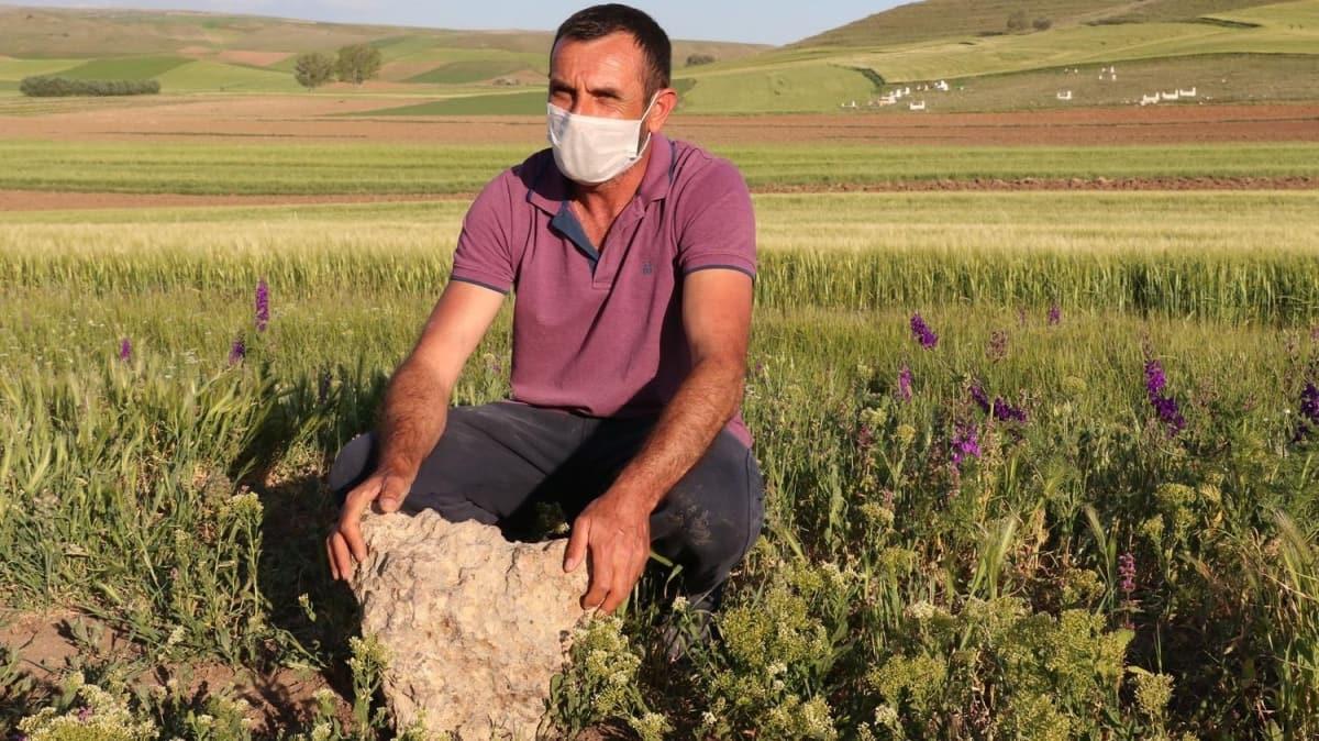 Meteorite found in Çorum on sale