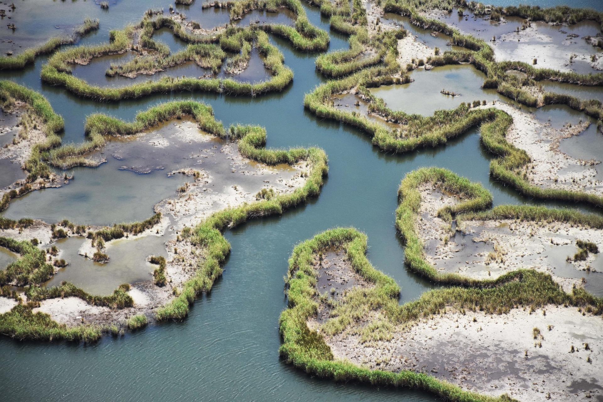 Labyrinth-like Dalyan reeds to welcome visitors