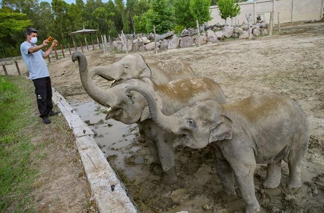 Natural life park inhabitants befriend caregivers