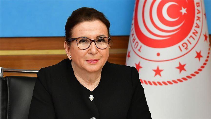 Turkey launches new free-trade zone specializing in R&D