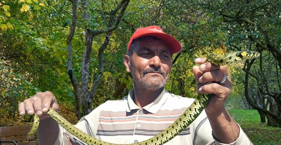 Local man earns money by catching snakes