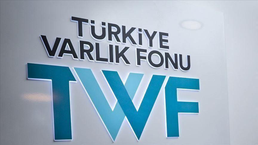 Turkey Wealth Fund gains controlling stake in Turkcell