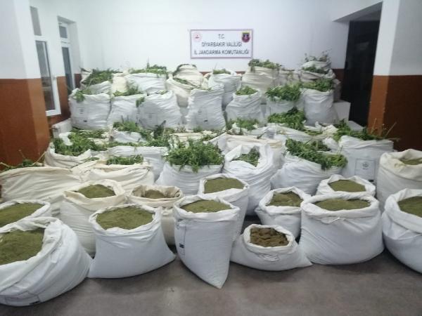 More than 7 mln cannabis roots seized in SE Turkey