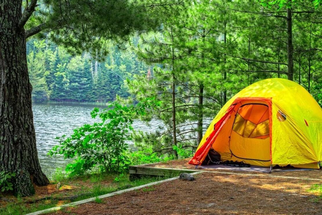 Camping: Getting rid of virus blues with natures green