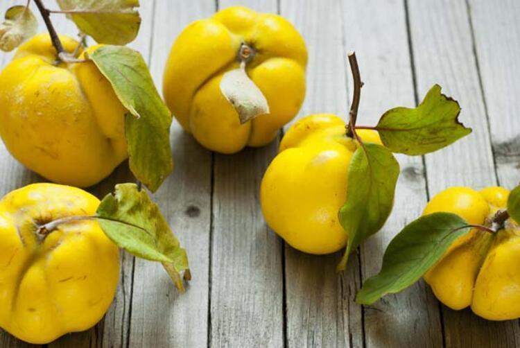 Turkeys quince gets geographical indication