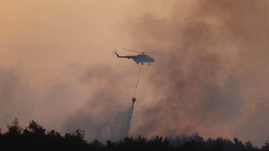 Forest fire in Çanakkales Gelibolu under control