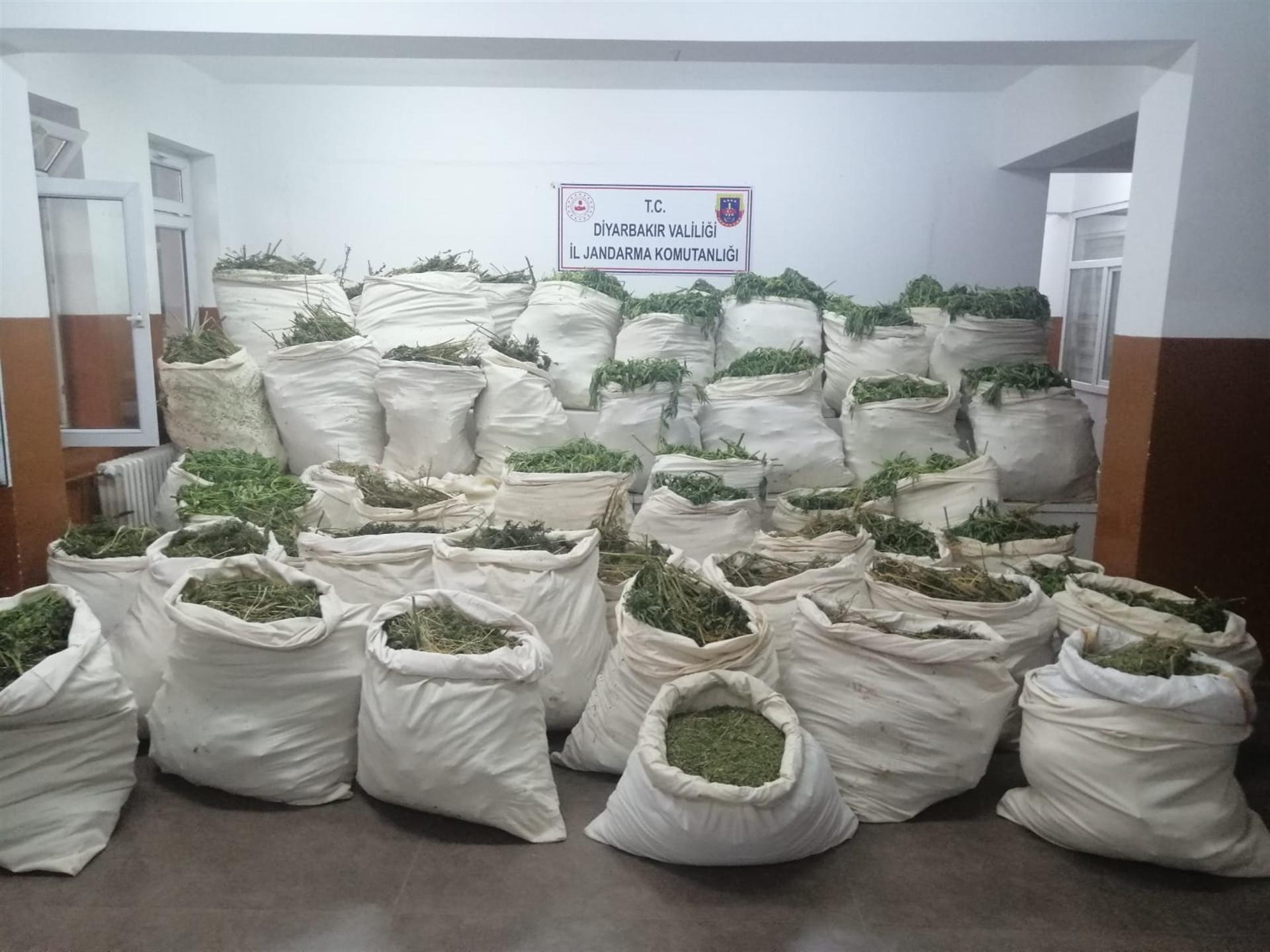 More than 10.1 mln cannabis roots seized in Turkey