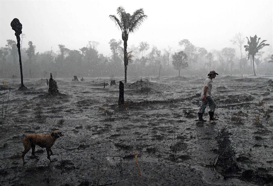 Brazil’s Bolsonaro under pressure to protect Amazon