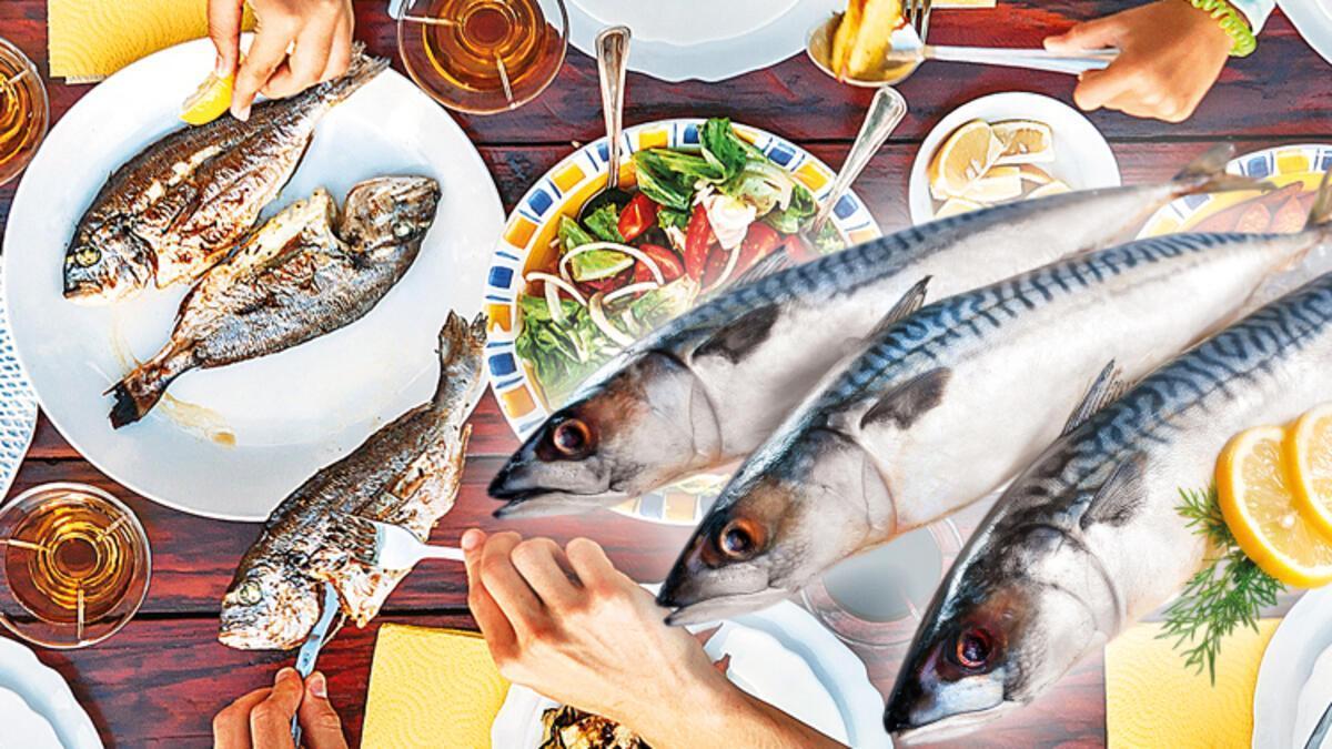 Mackerel prices trigger debate