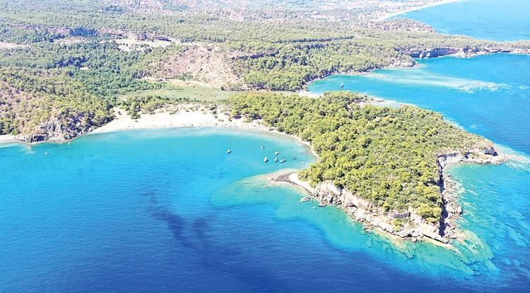 How an ancient plant inspired Phaselis ships