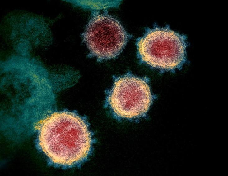 Turkey launches study to trace mutation patterns of COVID-19