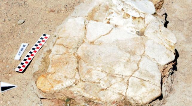 Archaeologists in Kayseri dig out turtle, teeth fossils