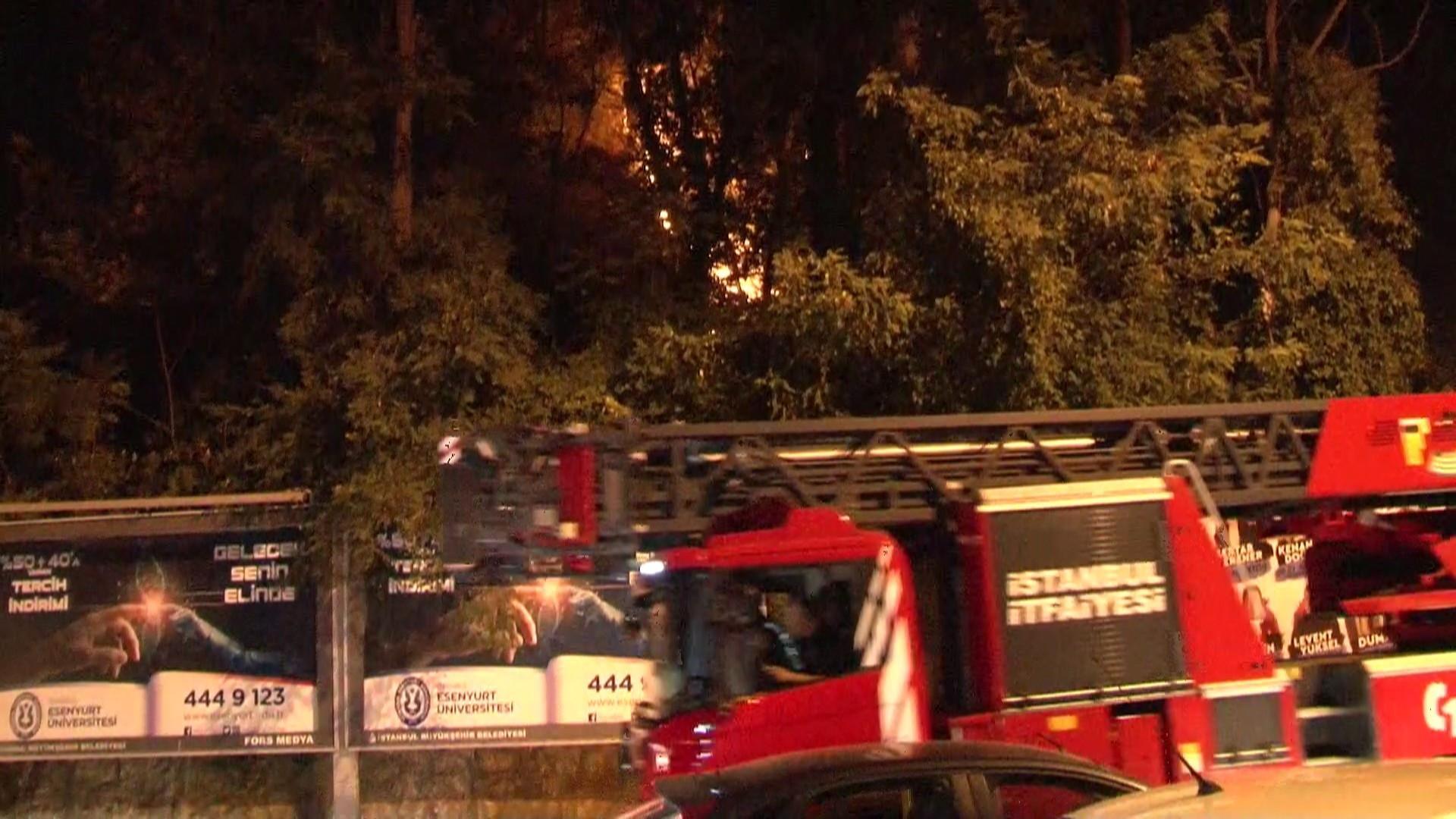 Fire breaks out in grove by the Bosphorus