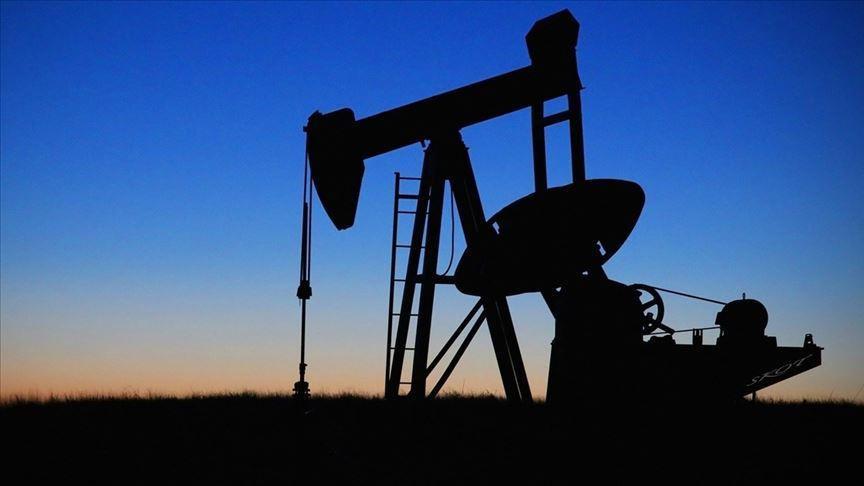 Turkeys oil imports down 11.6 pct in June 2020