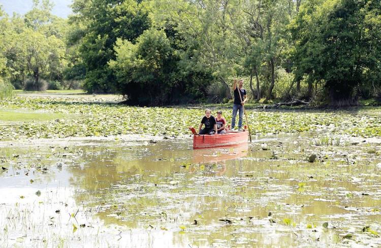 Isolated holiday in Karacabey forest popular among day trip vacationers