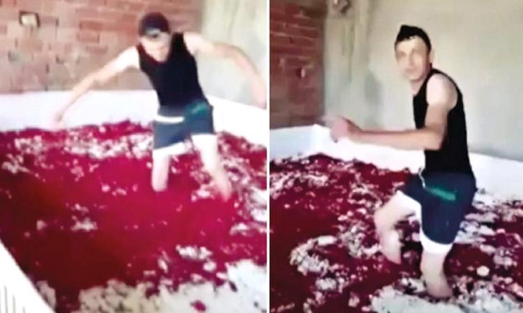 Company closes after employee shares video of him jumping on tomato paste bare feet
