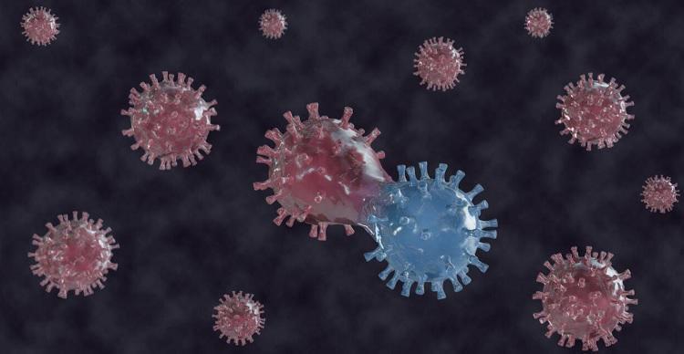 Turkish experts identify COVID-19s most mutated genes