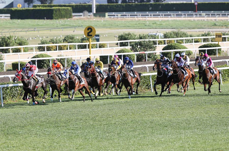 Call To Victory wins Turkish horse race