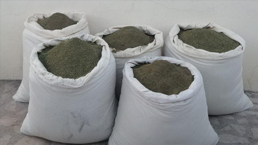 Over 1.7 tons of marijuana seized in Turkeys south