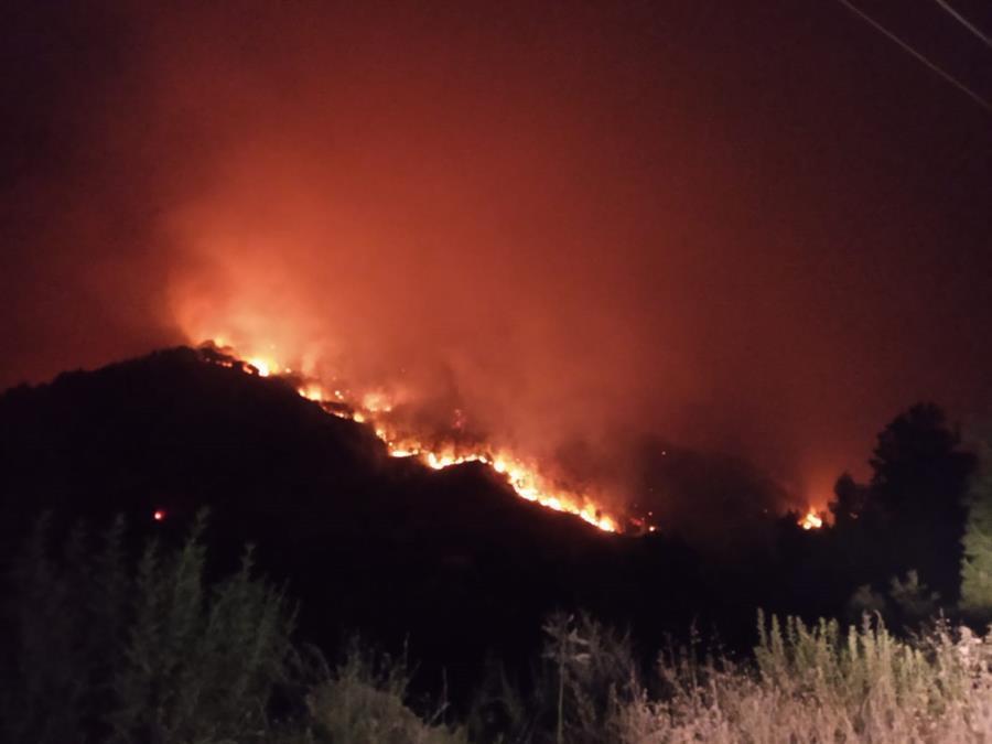 Forest fires continue to engulf Syrian border over past three days
