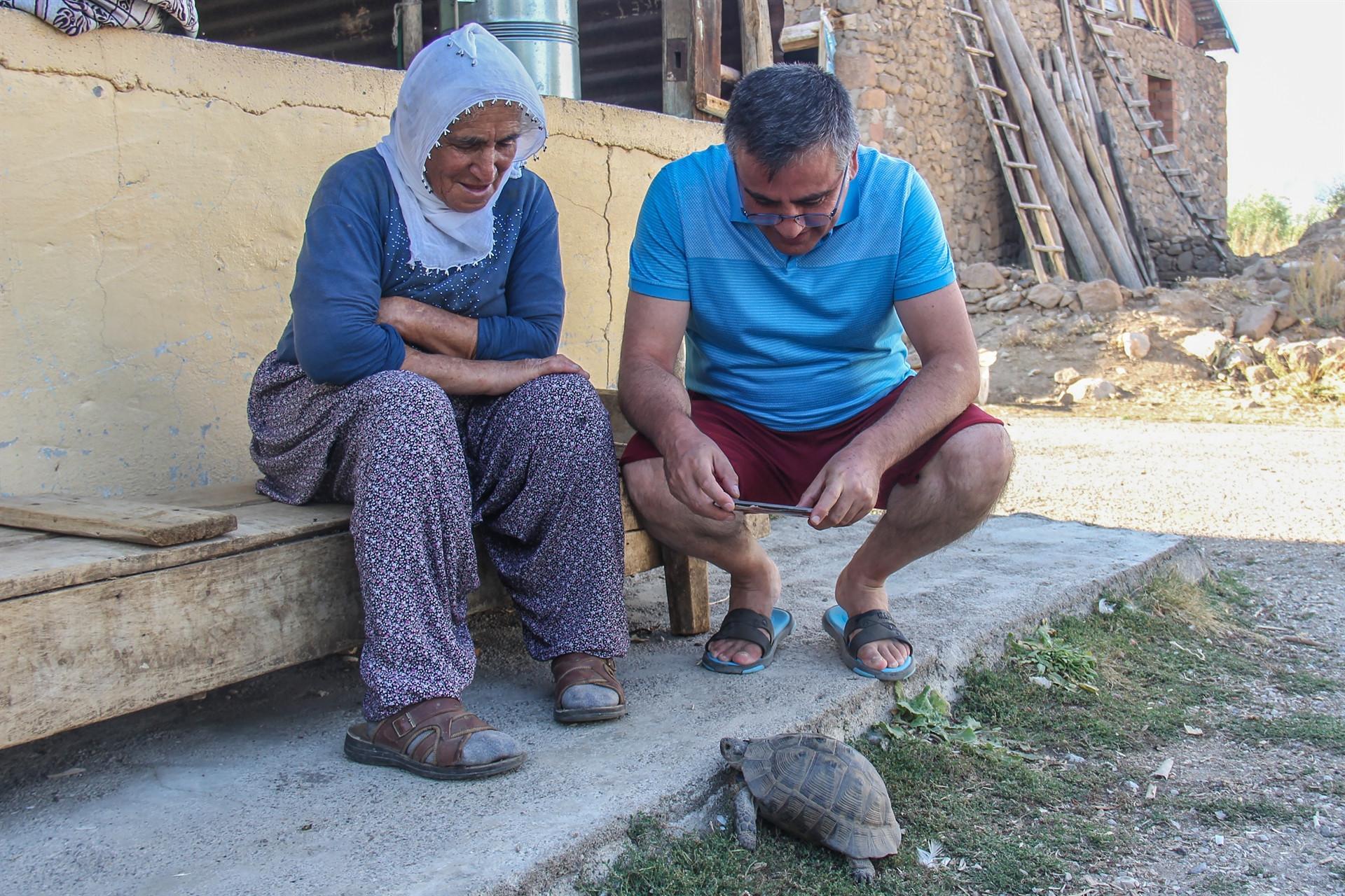 Tortoises invade eastern village
