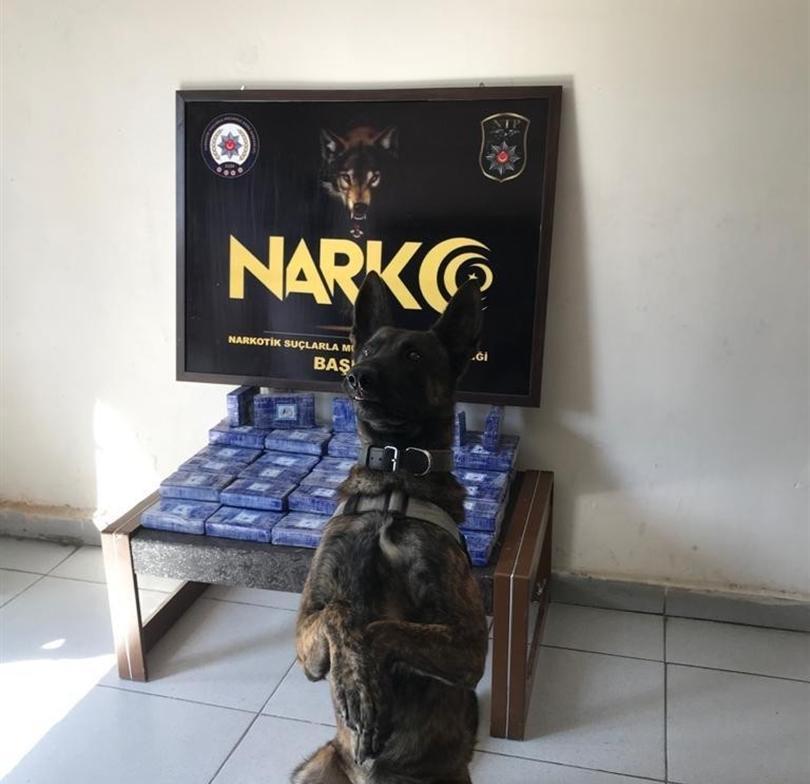 Over 35 kg of heroin seized in eastern Turkey