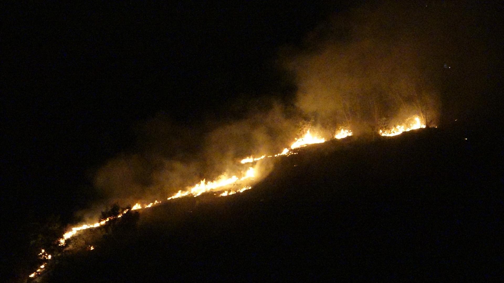 Fires break out on same day in three provinces of Turkey