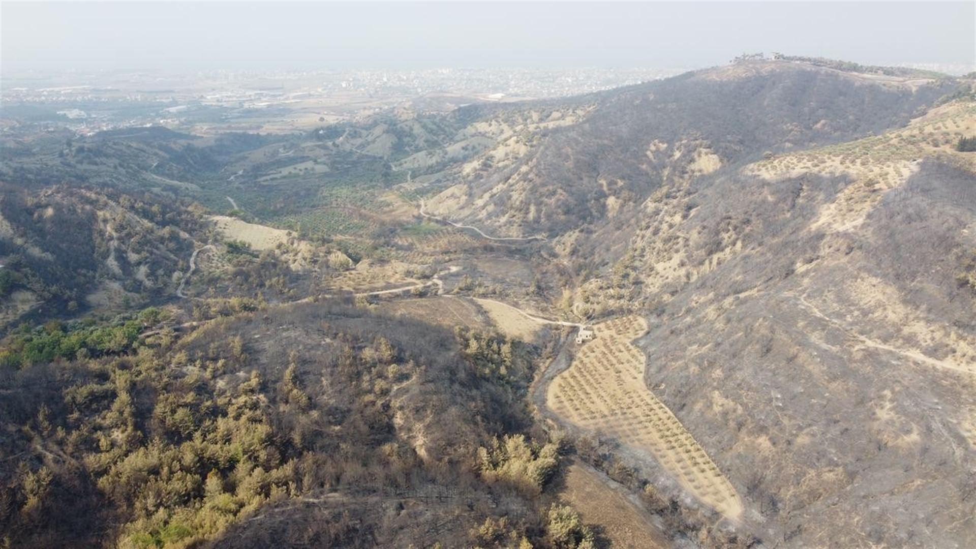 Two detained over southern forest fires