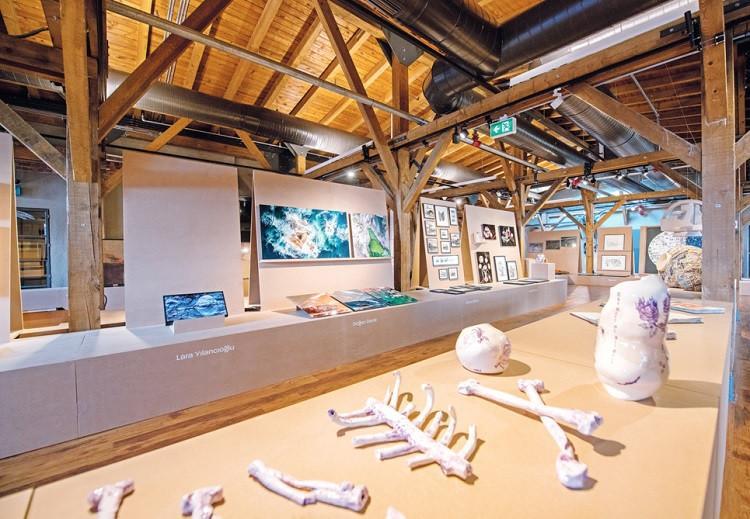 Mamut Art Project enlightens city with its unique show