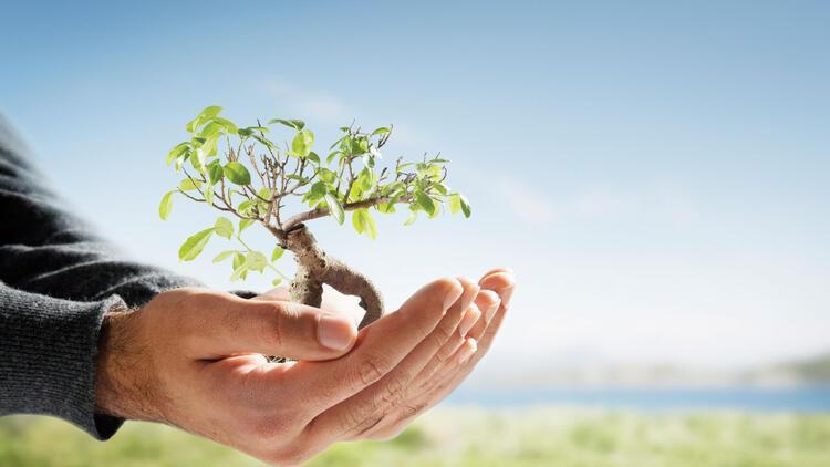 Turkey spends $4.7 bln on environmental protection in 2019