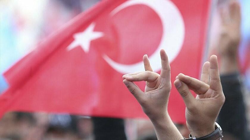 France to dissolve Turkish nationalist group Grey Wolves