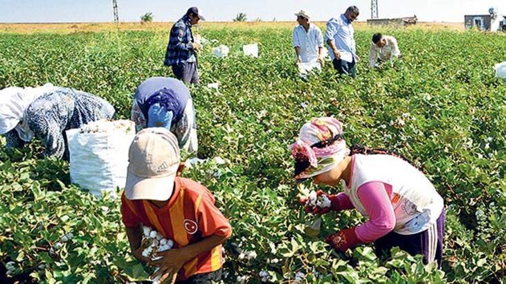 Some 720,000 child laborers work across country