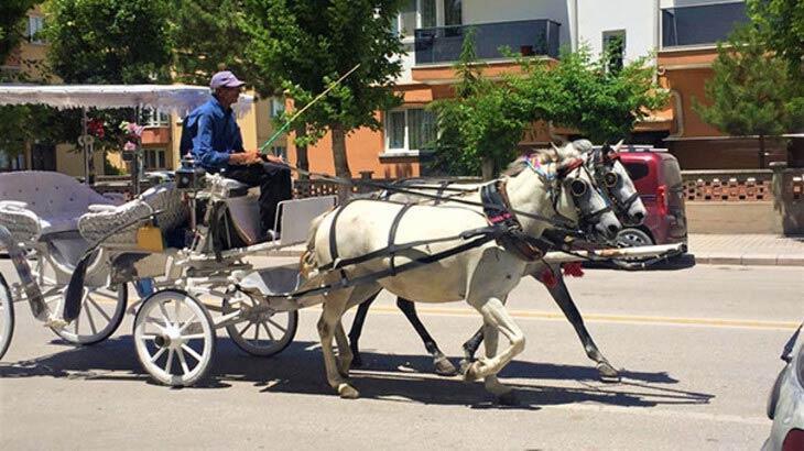 Three-wheelers to replace horse carriages in Edirne