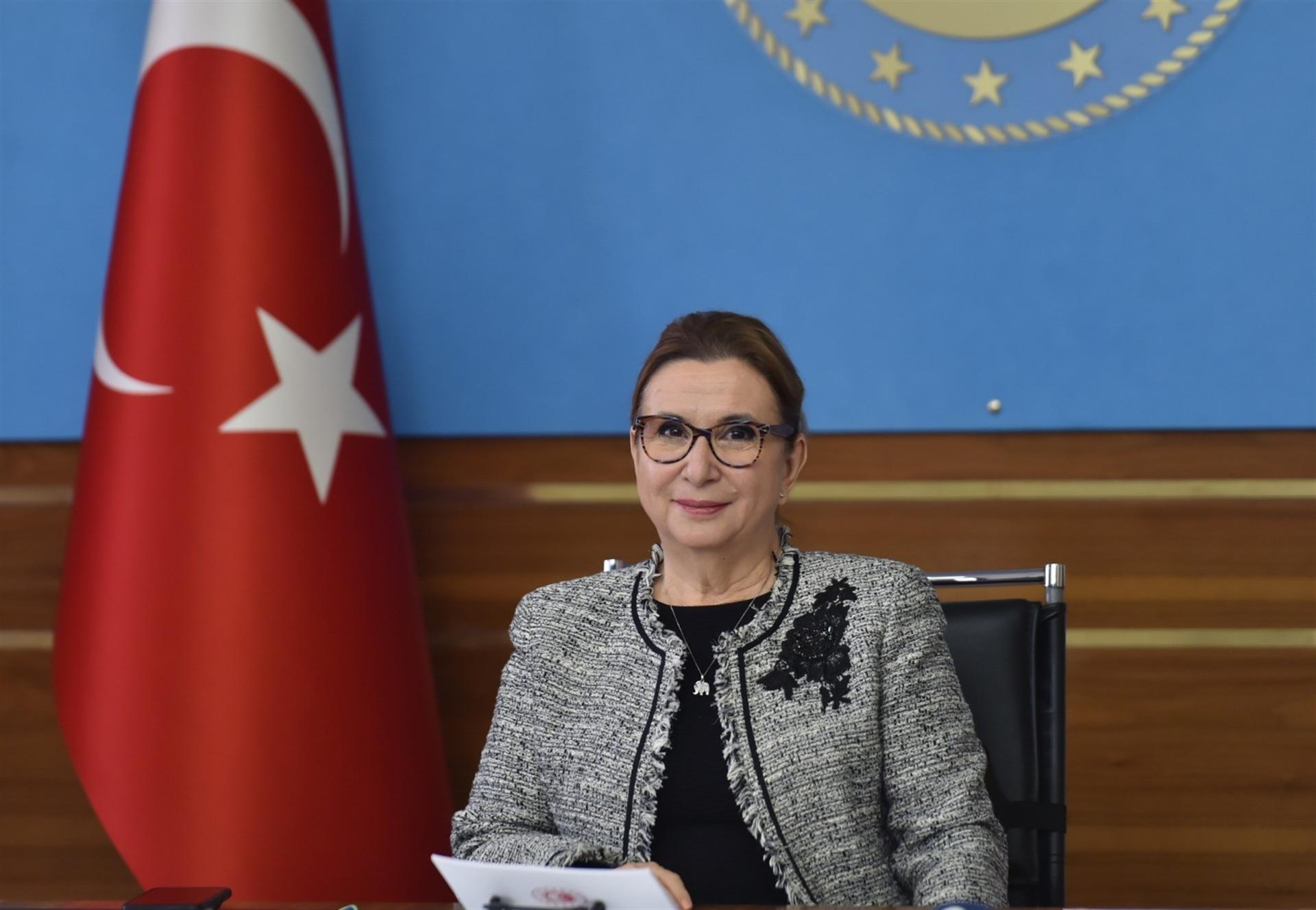 Turkey should step up its exports to Indonesia: Minister