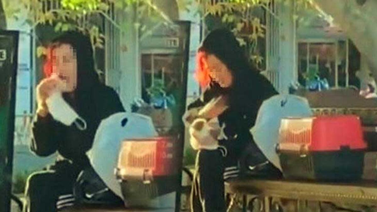 Hamster biter woman detained by police, fined