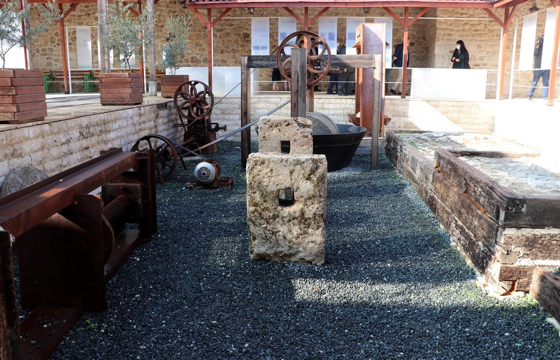 Olive museum in Turkey’s south enlightens visitors